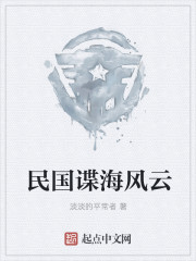 民国谍海风云章节列表
