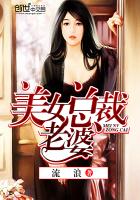 美女总裁老婆章节列表