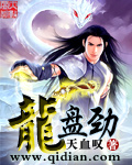 龙盘劲章节列表