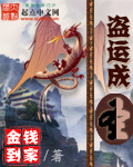 盗运成圣章节列表
