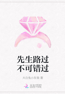 先生路过不可错过章节列表