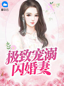 极致宠溺闪婚妻章节列表