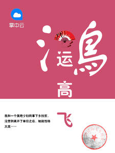鸿运高飞章节列表