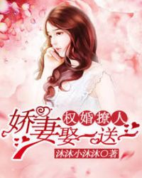 权婚撩人：娇妻娶一送一章节列表