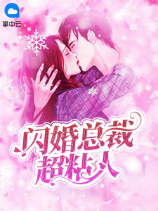 闪婚总裁超粘人章节列表