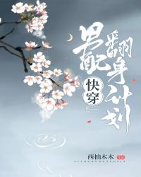 男配翻身计划[快穿]章节列表