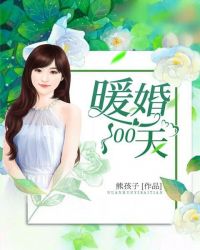 暖婚100天章节列表