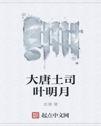 大唐土司叶明月上部章节列表