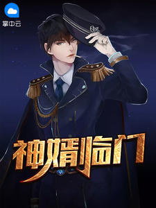 神婿临门章节列表