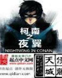 柯南之夜翼章节列表