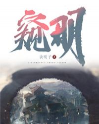 窥明章节列表