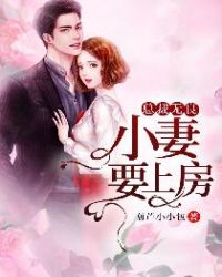 总裁无良，小妻要上房章节列表