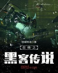 召唤之黑客传说章节列表
