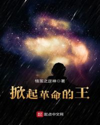 掀起革命的王章节列表
