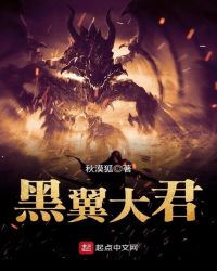 黑翼大君章节列表