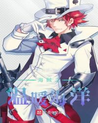 海贼之温暖海洋章节列表