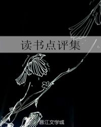 读书点评集章节列表