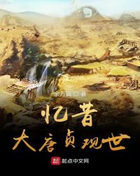 忆昔大唐贞观世章节列表