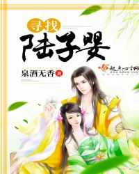 寻找陆子婴章节列表
