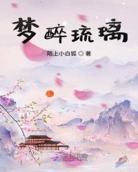 梦醉琉璃章节列表