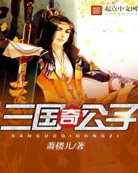 三国奇公子章节列表