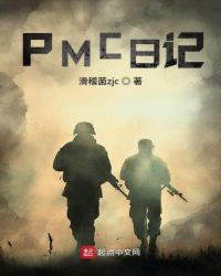 PMC日记章节列表