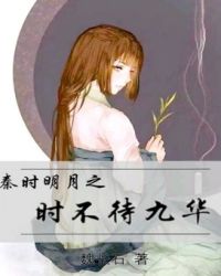 秦时明月之时不待九华章节列表