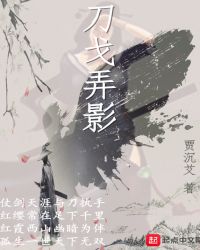 刀戈弄影章节列表