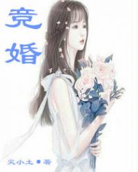 竞婚章节列表