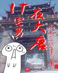 IT宅男在大唐章节列表