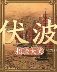 伏波章节列表