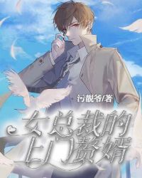女总裁的上门赘婿章节列表