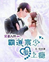宠妻入怀：霸道宸少爱上瘾章节列表