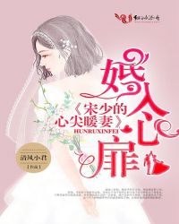 婚入心扉，宋少的心尖暖妻章节列表