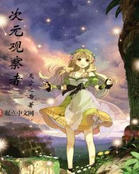 次元观察者章节列表