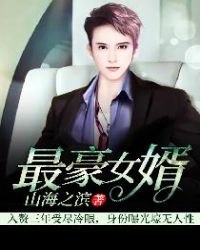 最豪女婿章节列表