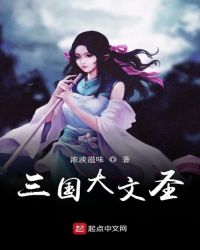三国大文圣章节列表