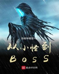 从小怪到BOSS章节列表