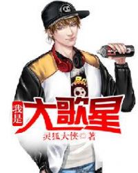 我是大歌星章节列表