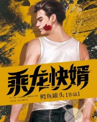 乘龙快婿章节列表