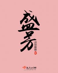 盛芳章节列表