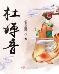 杜婵音章节列表
