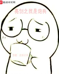 亮剑之我是炮兵章节列表