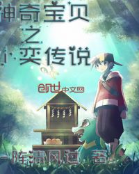神奇宝贝之小奕传说章节列表