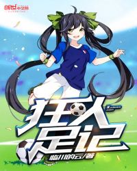 狂人足记章节列表