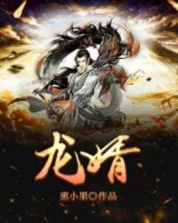 龙婿章节列表