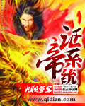 证帝系统章节列表
