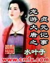 龙游大唐之贞元记事章节列表