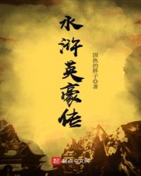 水浒英豪传章节列表