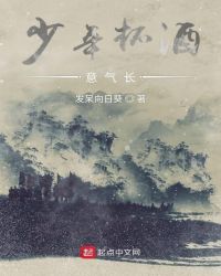 少年杯酒意气长章节列表